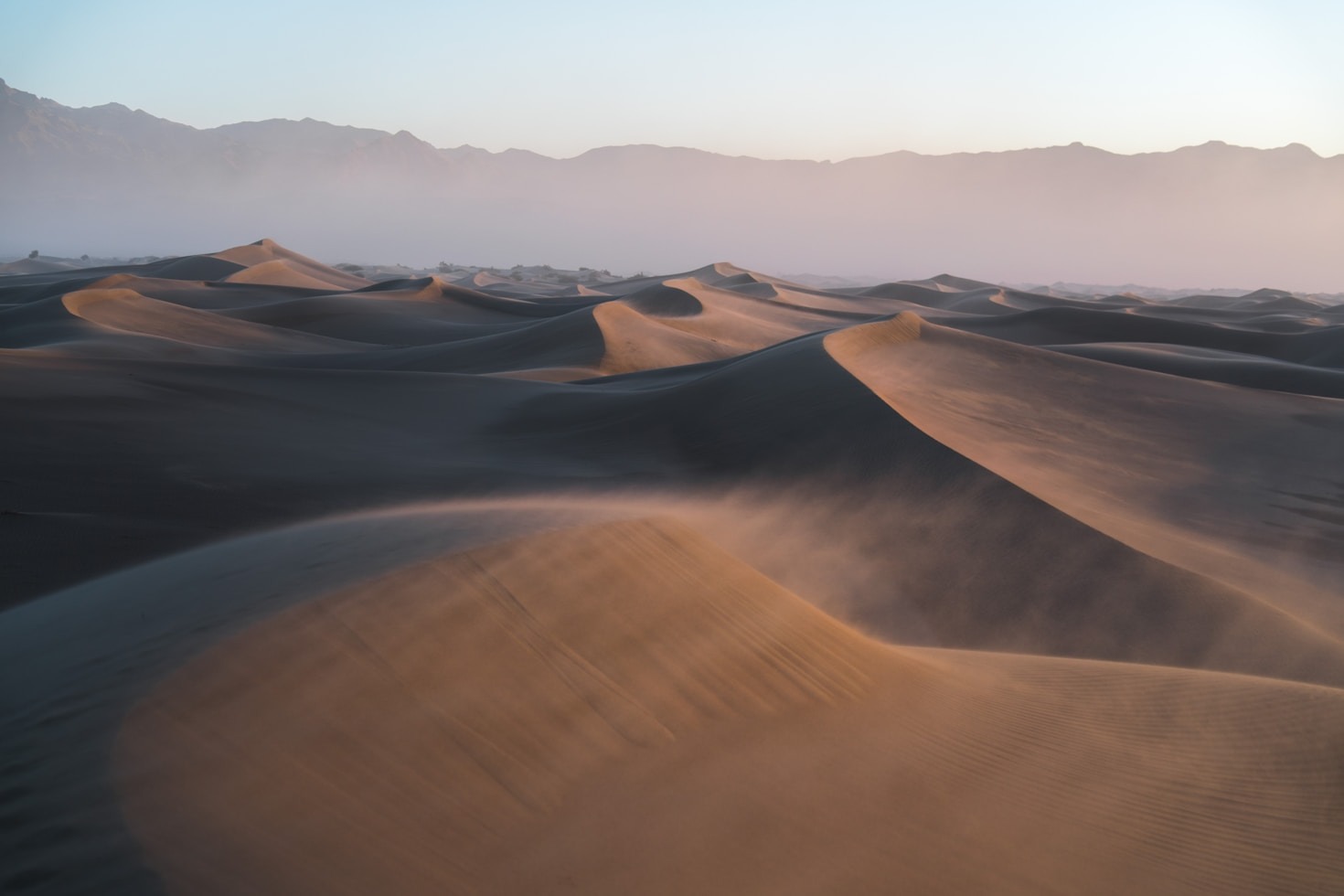 Top Activities to Experience at Sahra Serenity